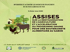 Quels objectifs visent les hautes autorités en organisant ces assises sur la redynamisation  de l’Agriculture et l’accélération du Programme GRAINE pour une souveraineté alimentaire au Gabon