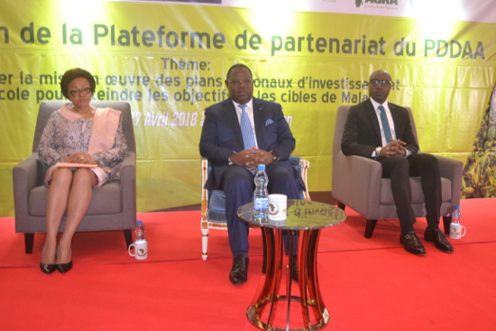 14ème plate-forme de partenariat du PDDAA : Cérémonie d’ouverture