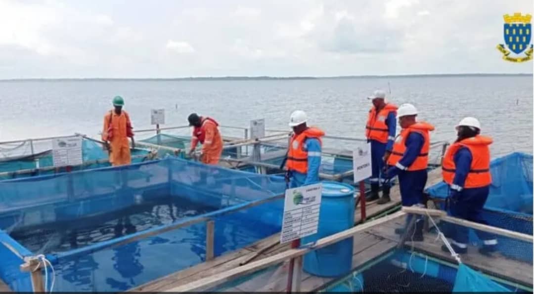 Port-Gentil : Perenco en appui pour la construction d’une ferme piscicole dans le Fernand Vaz