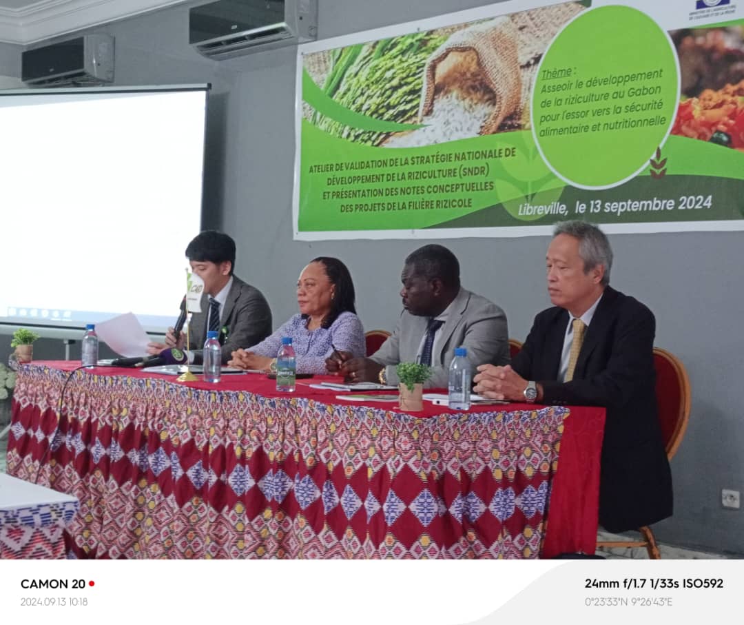 Agriculture/SNDR : Feuille de route pour une culture du riz durable et innovante au Gabon.