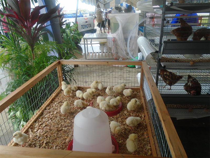 Agriculture
