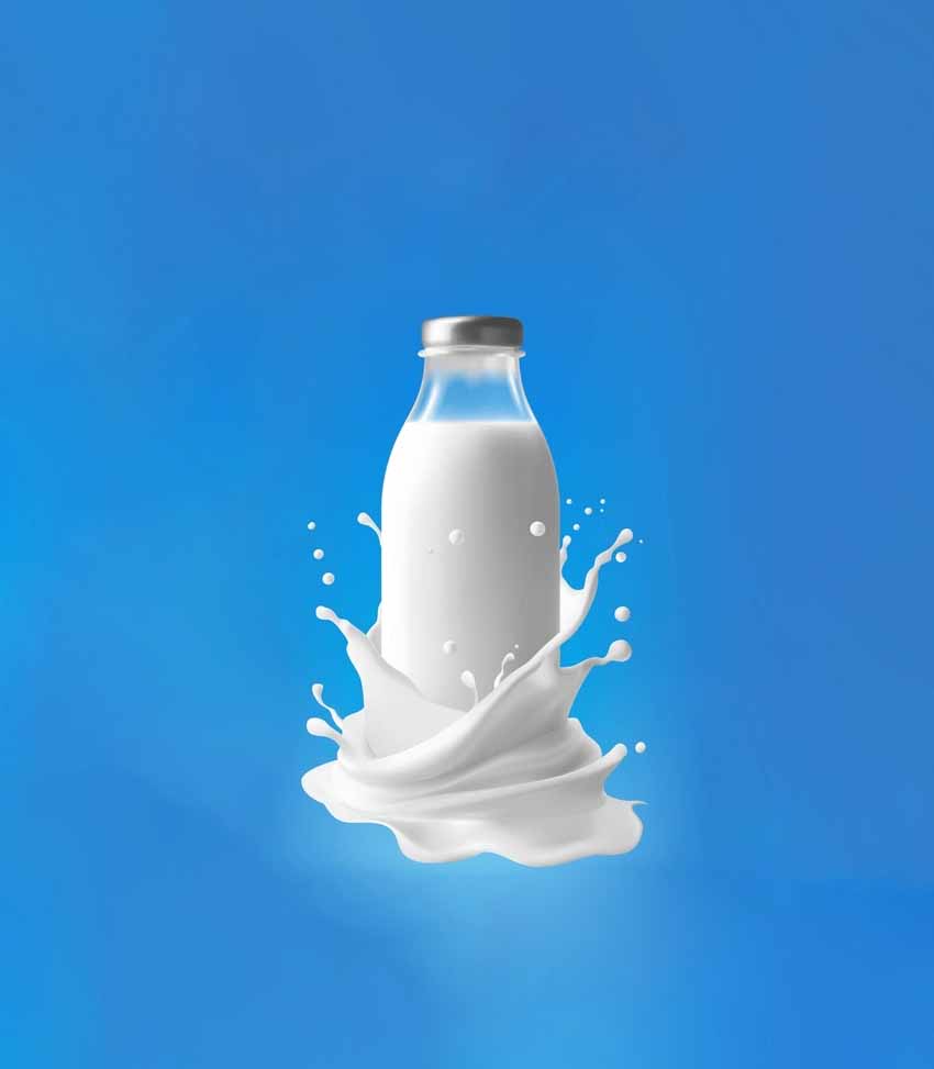 Journée Mondiale du Lait 2025