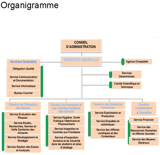 Organigramme