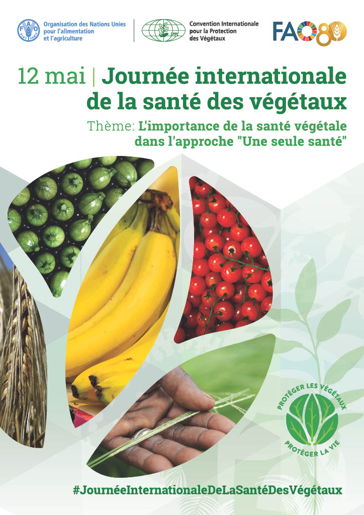 Le Gabon célèbre la Journée Internationale de la santé des végétaux