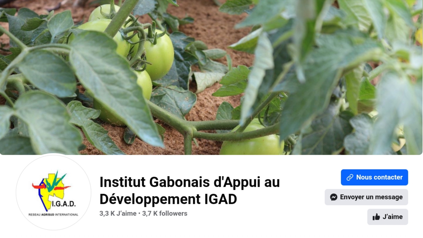 Communiqué de la Direction Générale de l&rsquo;IGAD