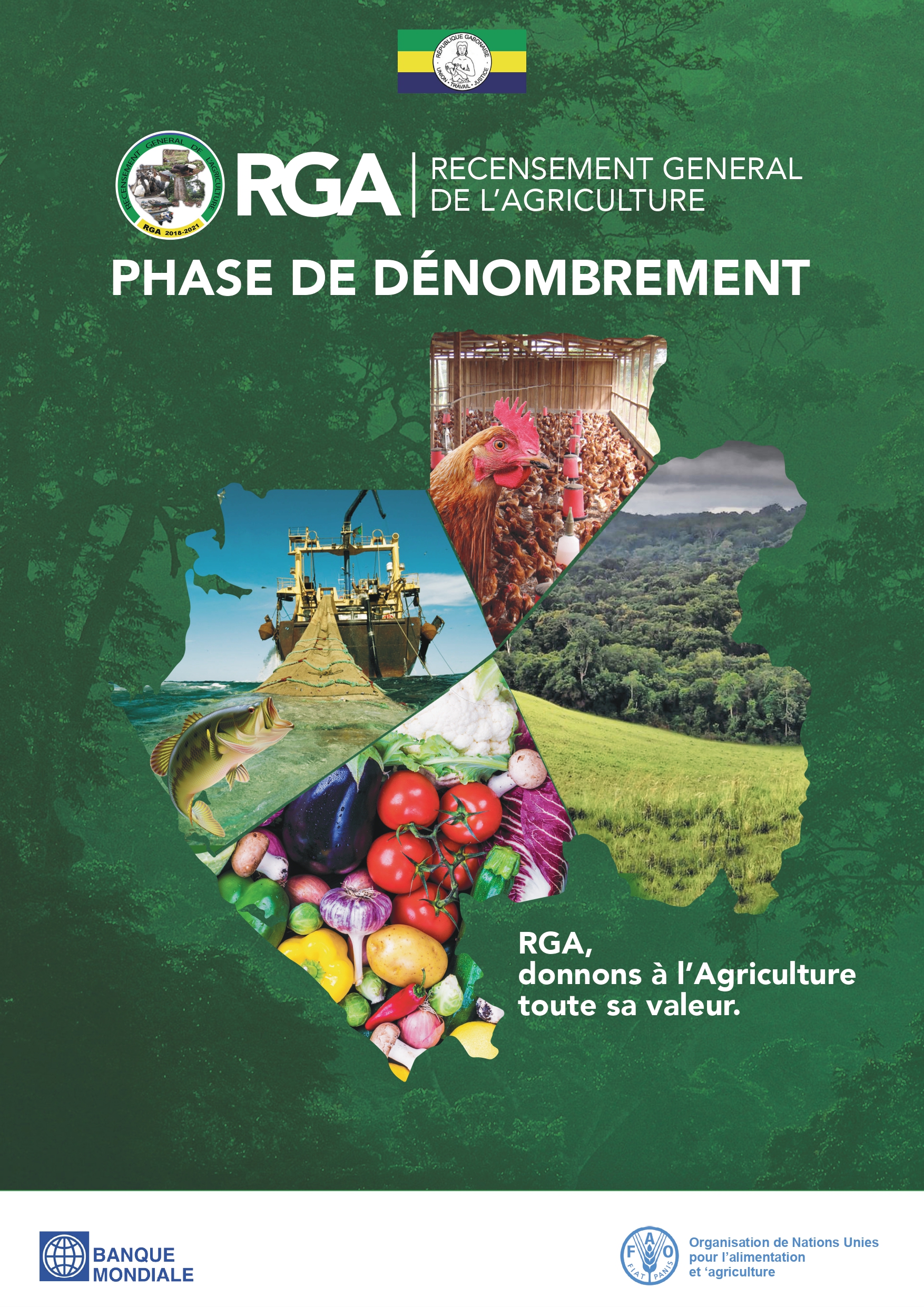 Rapports du Recensement Général de l&rsquo;Agriculture (RGA)
