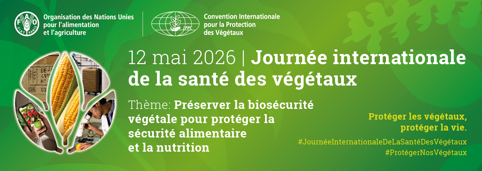 Journée Internationale de la Santé des Végétaux