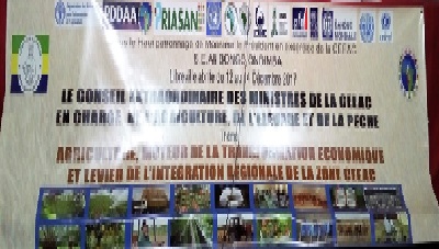 Conseil Extraordinaire des Ministres de la CEEAC