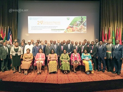 Maintenir le siège du bureau FAO Afrique Central