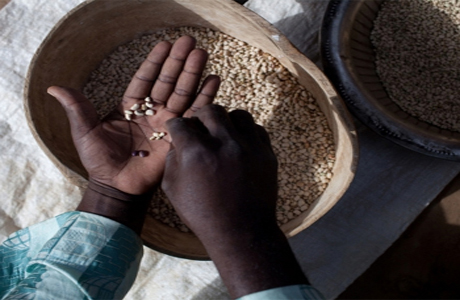 Réduction de la pauvreté et la faim : le Gabon primé à Rome